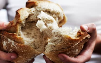 Pane, prezzo al kg in aumento in tutta Italia. La classifica