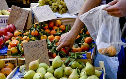 Sostenibilità, caro-prezzi incide sul calo dello spreco alimentare