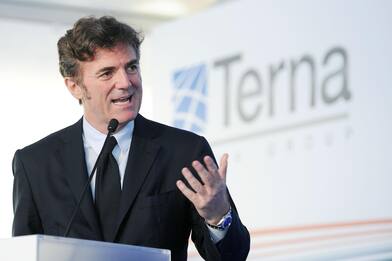Chi è Flavio Cattaneo, ad di Enel e marito di Sabrina Ferilli 