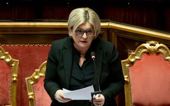 Tax wedge cut, Calderone: commitment and prudence for incomes over 35 thousand euros