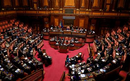 Foibe, il Senato vota il disegno di legge all'unanimità: 147 sì