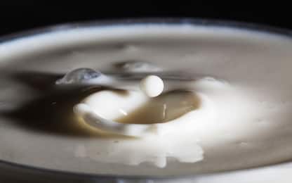 Giornata mondiale latte, i dati sul consumo in Italia