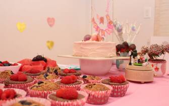 Baby Girl Baby Shower Decoration with Pink Cake and Raspberry Cupcakes New baby Welcome Party Decor
