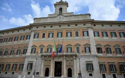 Maternità surrogata, ok Camera a proposta di legge su reato universale