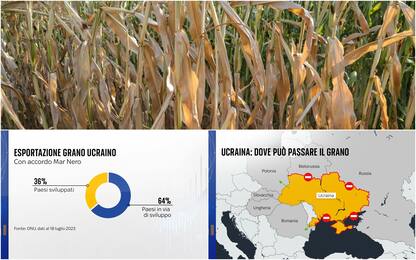 Guerra Ucraina, Russia non rinnova accordo su grano: impatto sui Paesi