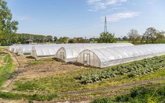 Ferrara, Italy. 22 April, 2020. Greenhouses with fruits and vegetables in the “Casa di Stefano” (House of Stefano) recovery community in Ferrara, Ita