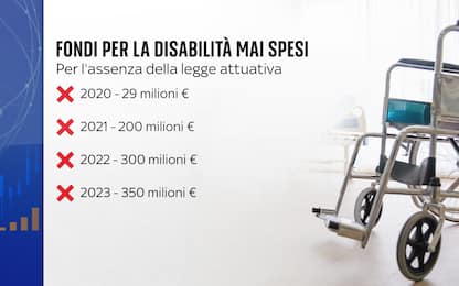 Fondi disabilità, 900 milioni disponibili ma neanche 1 euro speso