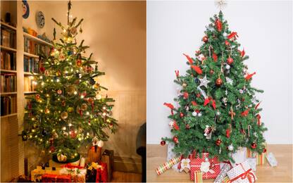 Natale, alberi veri in 3,5 milioni di case. Spesa media di 38 euro