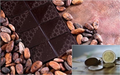 Cacao, perché il prezzo sale e quali sono i rischi per il cioccolato
