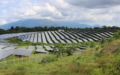 Bonus agrivoltaico, domande al via dal 4 giugno: cosa sapere