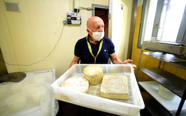 SCHIGNANO, ITALY - MAY 06:  Emanuele Bonfiglio, owner of the Agriturismo 'Al Marnich', shows his cheeses on May 06, 2020 in Schignano, Italy. Among the many sectors affected by the economic crisis due to the COVID-19 pandemic, workers at Agriturismo farms, who produce products for their restaurant, adapted to delivering food amid the lockdown. Italy will remain on lockdown to stem the transmission of the Coronavirus while slowly easing restrictions.  (Photo by Pier Marco Tacca/Getty Images)