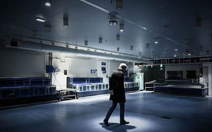 Cgil Cisl e Uil a Conte, stringere tempi su scelte imposte da virus