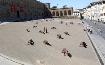 L'installazione dal titolo 'I lupi in arrivo' dell'artista cinese Liu in Pazza Pitti e in Piazza Santissima Annunziata a Firenze, 13 Luglio 2020. ANSA/CLAUDIO GIOVANNINI