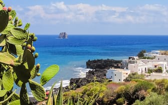 Coastline of Stromboli with prickly pear and white houses; Strombolicchio stack in the background Coastline of Stromboli with prickly pear and white houses; Strombolicchio stack in the background