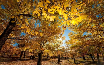 Il 22 settembre addio estate: è il giorno dell’equinozio d’autunno