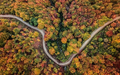 Foliage d'autunno, il variopinto spettacolo della natura in Italia