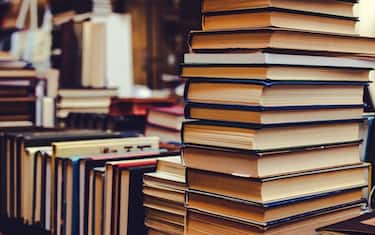 Una storia editoriale si può raccontare anche a partire da una blatta