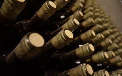 Vino con falso marchio Dop: sequestrate 10mila bottiglie in Irpinia