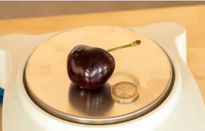 A Bologna la ciliegia da 26,45 grammi è da Guinness World Records