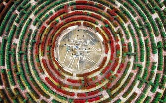 BIJIE, CHINA - APRIL 01: Aerial view of a maze pattern formed by azaleas at a scenic area on April 1, 2018 in Bijie, Guizhou Province of China. (Photo by Visual China Group via Getty Images/Visual China Group via Getty Images)