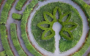 Aerial view from the drone to park labyrinth of round shape with bushes in the garden at sunset in a summer day. Topiary art.
