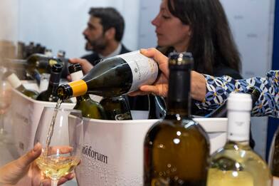 I 5 vini più goduriosi del Lazio. Secondo Vinoforum