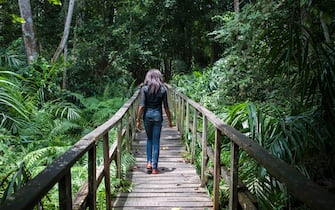 A woman walks through the forest in the Lekki Conservation Centre in Lagos on September 8, 2016.
Traffic jams may clog the city and the beaches look like garbage dumps, but for the Lagos state government developing tourism is now a do or die matter. / AFP / STEFAN HEUNIS        (Photo credit should read STEFAN HEUNIS/AFP via Getty Images)