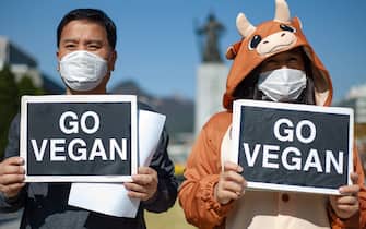 Members of the Citizens' Assembly for the Vegan World hold GO VEGAN placards during a press conference at Gwanghwamun Square on October 30, 2020 ahead of World Vegan Day (November 1st) in Seoul, South Korea. At the press conference, they argued that the livestock industry and the meat industry were the main culprits of destroying the global environment, and COVID-19, bird flu, and foot-and-mouth disease were caused by meat eating. They also argued that vegetarianism is not an option but a necessity to solve global greenhouse gas and climate crisis issues. (Photo by Chris Jung/NurPhoto via Getty Images)