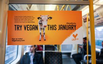 London Underground, London, UK 19 Dec 2016 - London commuters are treated to a flash performance by pole acrobats from Ireland, Terri Walsh and Michael Donohoe, as they launch the first ever vegan advertising campaign on the London Underground. The adverts are created by Veganuary â   the charity that encourages people to try vegan in January. They feature three animals â  Â  Rocky the calf, a chick called Little Eric and a naughty but very loveable piglet named Ernie â  Â  who urge passengers to read their stories and join thousands of others around the world who choose to eat no animal products at all in January.Â 2,500 adverts are displayed inside Londonâ  s tube carriages from 19th December until 2nd January.

Featuring: Atmosphere
Where: London, United Kingdom
When: 19 Dec 2016
Credit: Dinendra Haria/WENN.com