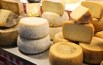 Italian Cheese Awards 2021, ecco i migliori formaggi. FOTO