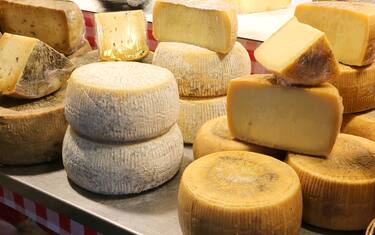 Parmesan and caciotta cheese and other aged cheeses for sale in the dairy