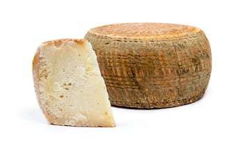 aged pecorino cheese in white background