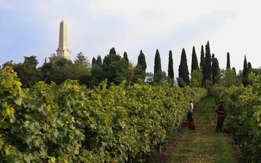 Cantina Sociale Custoza tre - OSSARIO di Custoza