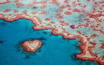Aerial view of heart-shaped Heart Reef, part of the Great Barrier Reef of the Whitsundays in the Coral sea, Queensland, Australia. (Photo by: Arterra/Universal Images Group via Getty Images)