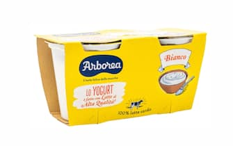 Yogurt Arborea