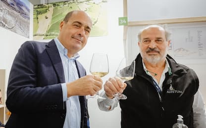 Vinitaly 2022, tutti i politici alla Fiera del vino di Verona. FOTO