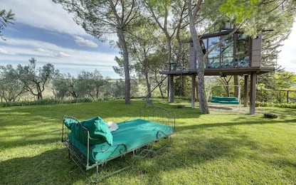 Dormire su un albero, le 20 tree-house più suggestive d'Italia