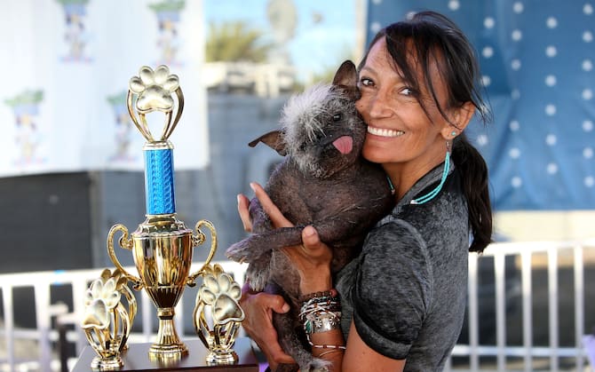 Mr. Happy Face è il cane più brutto del mondo del 2022. FOTO | Sky TG24