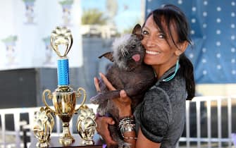 Mr Happy Face wins the World's Ugliest Dog Competition in Petaluma, California.  Jeneda Benally entered her Chinese crested rescue pup into the iconic competition which returned after a two year absence due to the pandemic. Though there was some ruff and tough competition, Mr Happy Face proved a worthy winner with his wonky walk, protruding tongue and patchy fur. Clearly the much loved pet of Jeneda, she was delighted to accept the prestigious award and the prize money of $1500. She and Mr Happy Face will also fly to New York for an appearance on the Today Show.  After his win, Mr Happy face was wrapped in a blanket - it gets chilly when you don't have much fur! The World's Ugliest Dog competition celebrates adopting and rescuing pets, no matter of their physical appearance, proving that truly beauty comes from within.



Pictured: mr happy face,jeneda benally

Ref: SPL5321572 240622 NON-EXCLUSIVE

Picture by: SplashNews.com



Splash News and Pictures

USA: +1 310-525-5808
London: +44 (0)20 8126 1009
Berlin: +49 175 3764 166

photodesk@splashnews.com



World Rights,