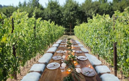 Cene ‘en plein air’ e pic-nic in vigna, viaggio nella Toscana bucolica