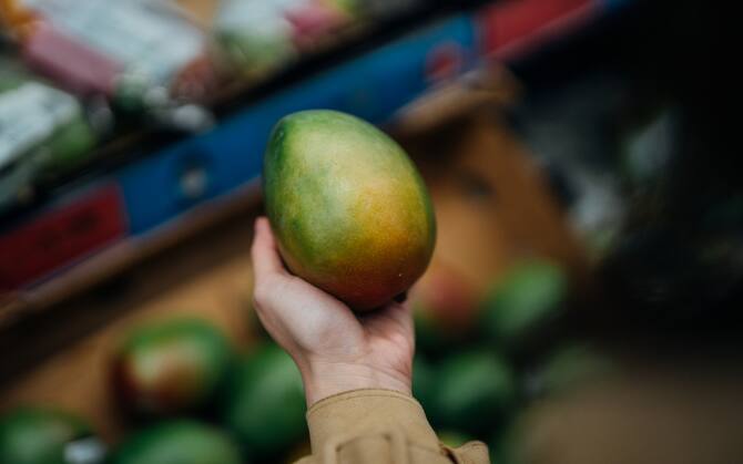 Mango, avocado, papaya: con il caldo la frutta esotica diventa un business  italiano