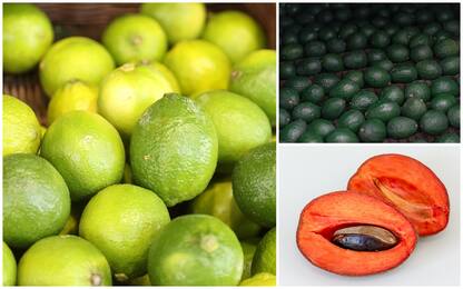 Con il caldo la frutta esotica diventa un business italiano