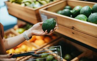 Young Asian woman carrying a shopping basket, grocery shopping for fresh organic fruits and vegetables along the produce aisle in supermarket, close up of her hand choosing avocados. Healthy eating lifestyle