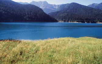 Sauris artificial lake, Carnic Alps, Friuli-Venezia Giulia, Italy.
