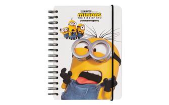 Minions di Gruppo Erik