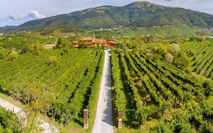 Weekend tra le vigne, i 10 agriturismi più suggestivi d’Italia