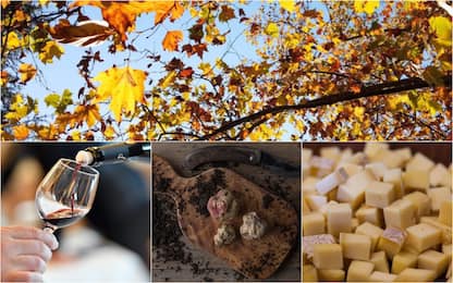 Sagre d'autunno per 7 italiani su 10: ecco quelle imperdibili