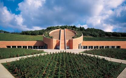 Vino e architettura, tra le cantine d’autore più belle della Toscana
