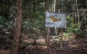 FUJIKAWAGUCHIKO, JAPAN - MARCH 13:  A map is displayed at the entrance to Aokigahara forest, on March 13, 2018 in Fujikawaguchiko, Japan. Aokigahara forest lies on the on the northwestern flank of Mount Fuji and in recent years has become known as one of the world's most prevalent suicide sites. The density of the forest is believed to be a contributing factor with people often tying string to trees to find their way back to a path in case they change their mind. In 2010, officials recorded more than 200 attempted suicides in the forest with attempts said to increase during the end of the Japanese fiscal year. In recent years, local officials have stopped publicising the numbers in an attempt to decrease Aokigahara's association with suicide.  (Photo by Carl Court/Getty Images)