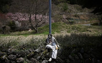 MIYOSHI, JAPAN - APRIL 22: A hand-made doll sits against a post as others are placed around the village by local resident Tsukimi Ayano to replace the dwindling local population on April 22, 2016 in Nagoro village, in Miyoshi, Japan. Likely more dolls than the number of inhabitants are placed around the village called "Kakashi No Sato". According to Japan's Statistic Bureau, the percentage of people over 65 years old in Japan is 26.8% while that of the the world is 8.2%. The National Institute of Population and Social Security Research in Tokyo, Japan's population, now around 128 million, is expected to dip below 100 million in 2046.  (Photo by Carl Court/Getty Images)